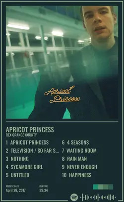 Rex Orange County - Apricot Princess.jpg